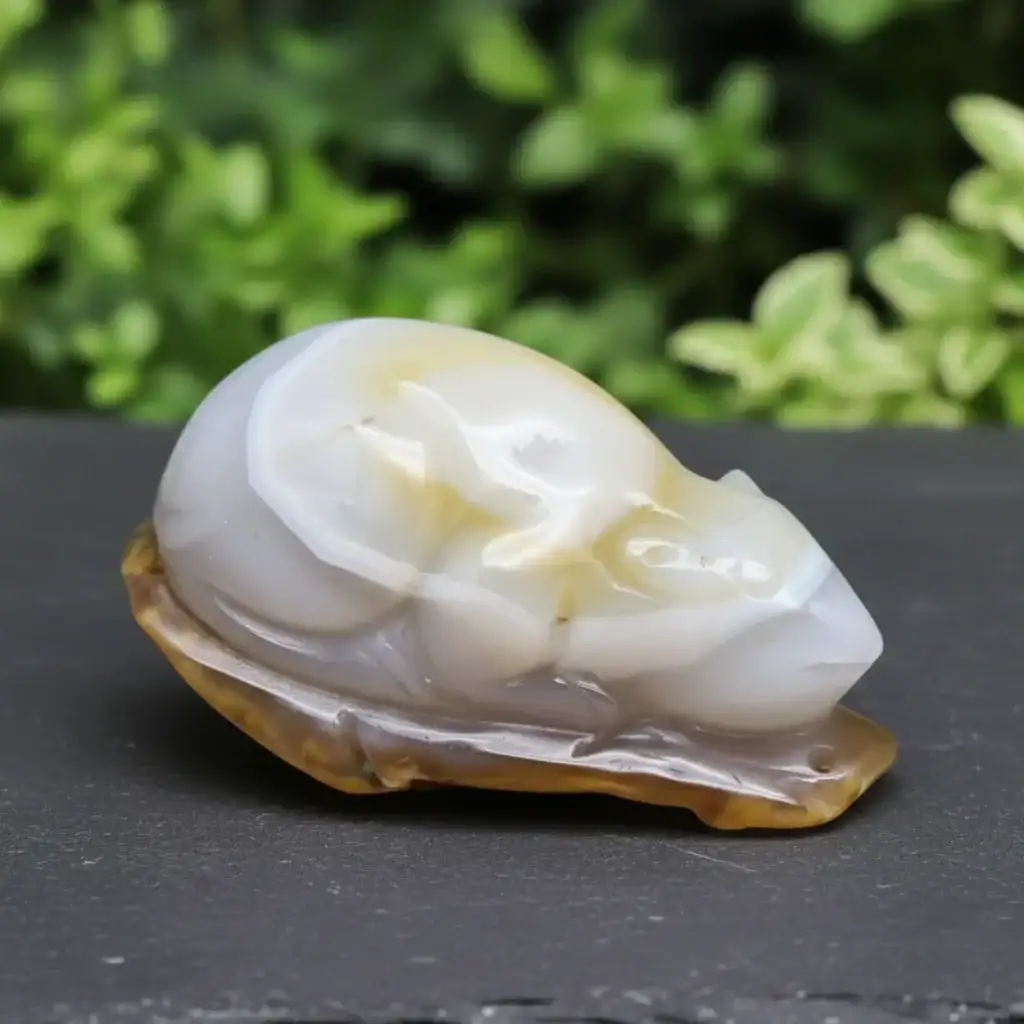 Souris (ou rat) en Agate 130g (PRGFL536 - 5)