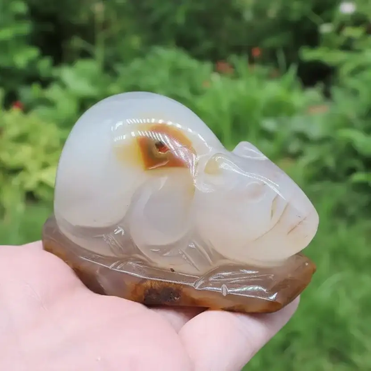 Souris (ou rat) en Agate 177g (PRGFL536 - 2)