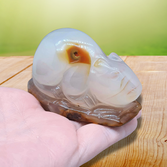Souris (ou rat) en Agate 177g (PRGFL536-2)