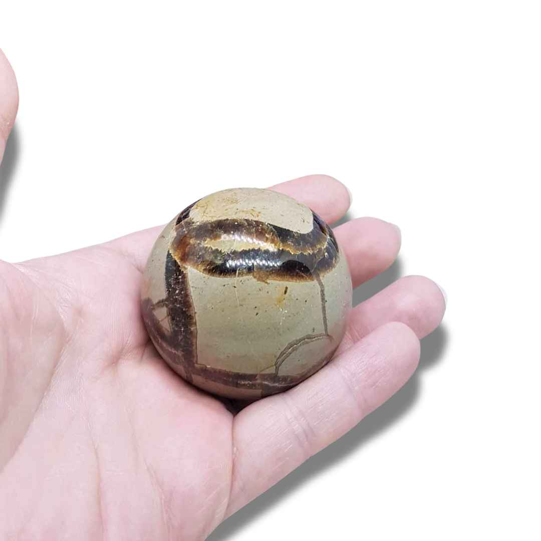 Sphère en Septaria (PRGFL372-2) - ENAE Minéraux