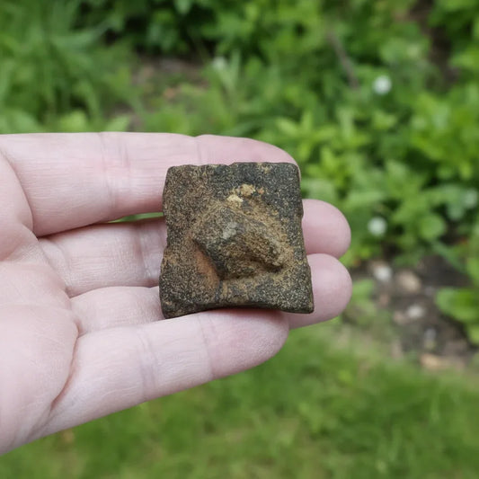 Staurolite ou Staurotide brute 34g (MB497-3)