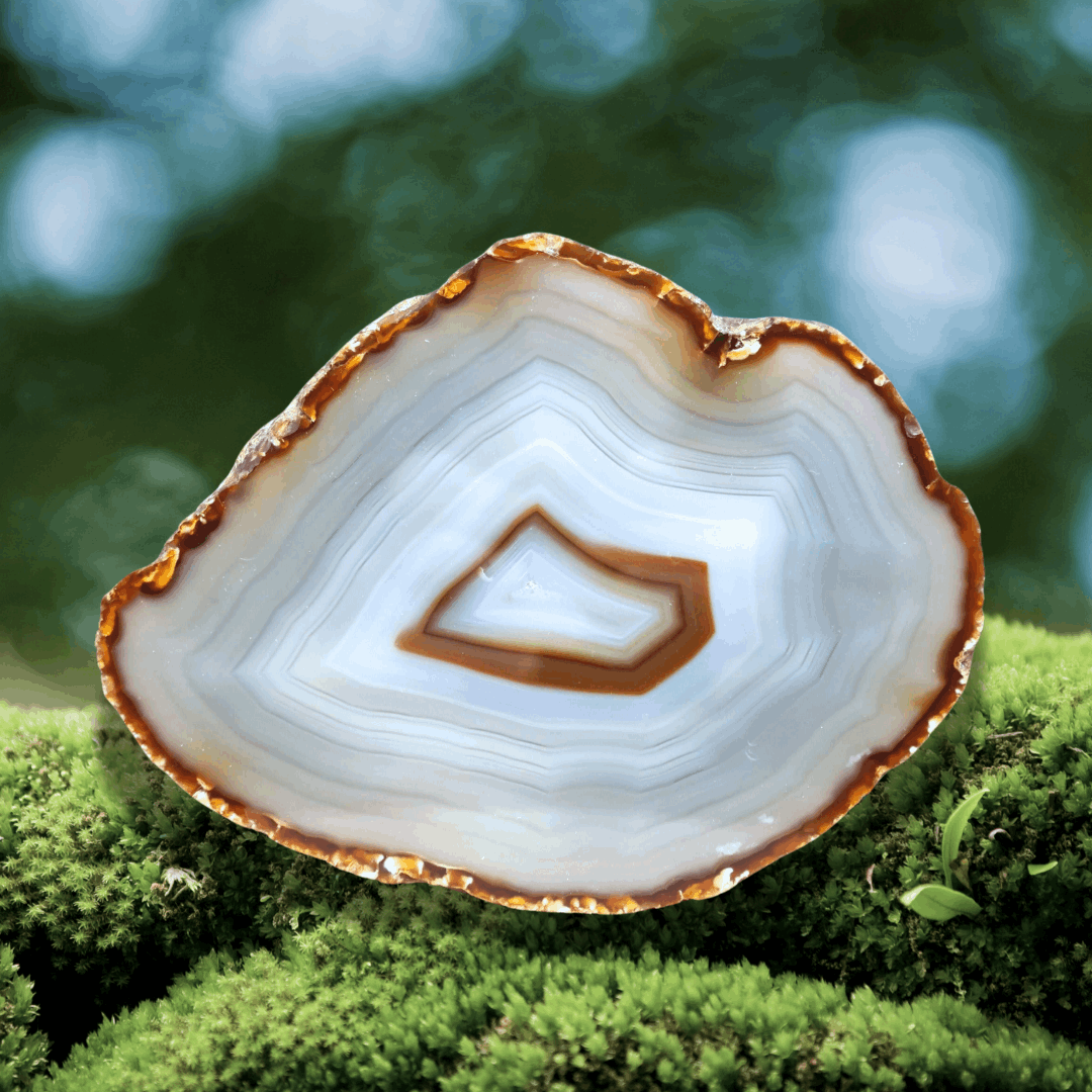 Agate avec une face polie (MB351-1)