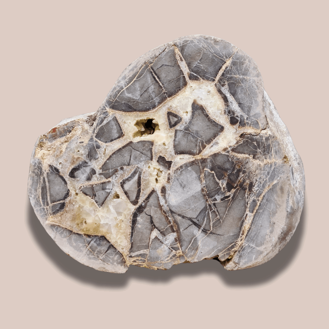 Tranche de Septaria et Calcite jaune brute et polie (MB452)