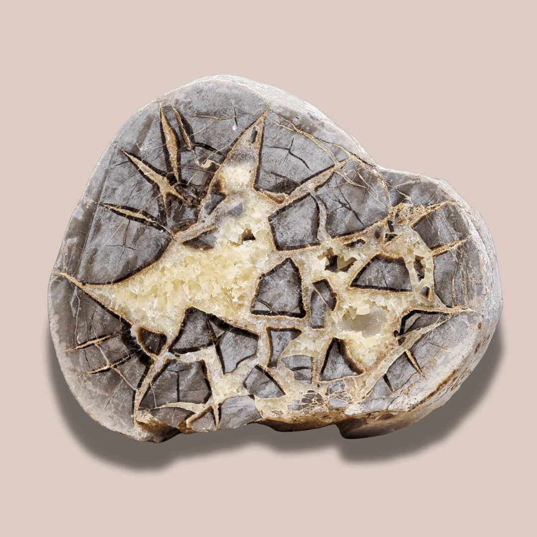 Tranche de Septaria et Calcite jaune brute et polie (MB452)