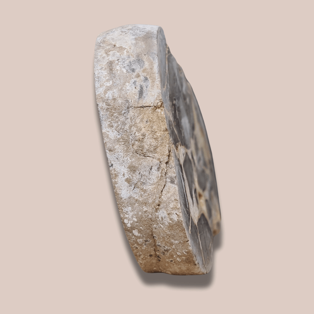 Tranche de Septaria et Calcite jaune brute et polie (MB452)