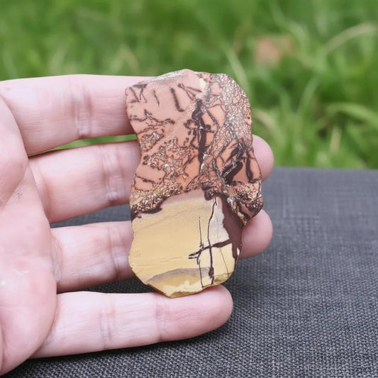 Tranche de Jaspe Bicolore dos brut 33g (PRGFL702-2)