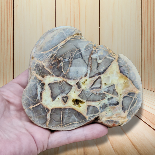 Tranche de Septaria et Calcite jaune brute et polie 388g (MB452) - ENAE Minéraux