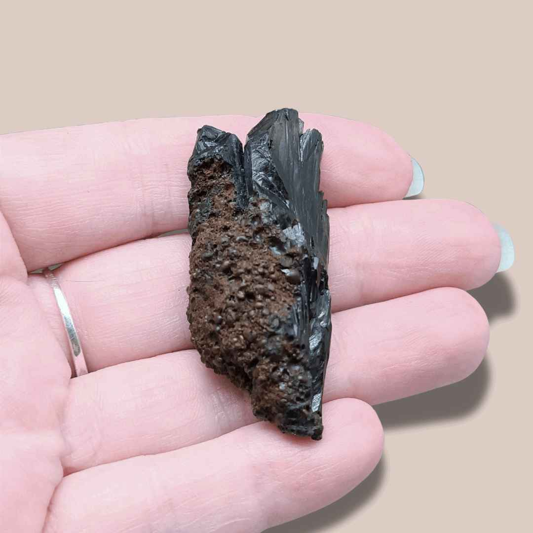 Vivianite brute (MB459-4)