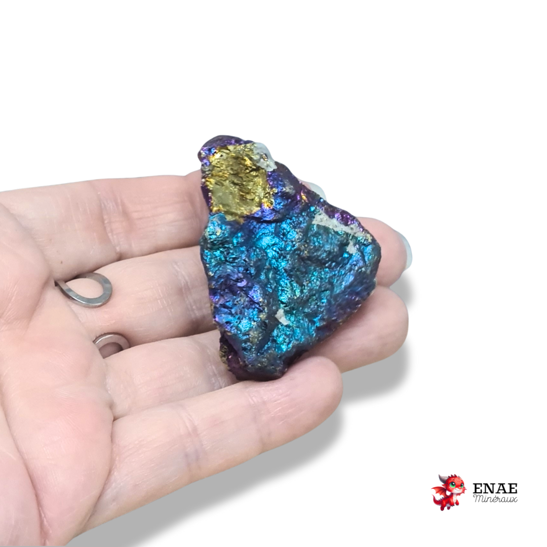 Bornite brute (MB573-1)