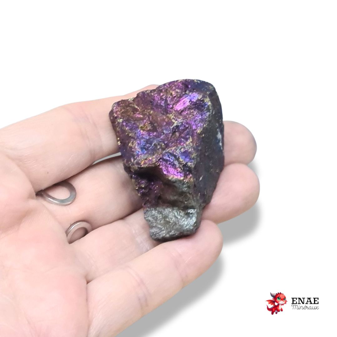 Bornite brute (MB573-2)