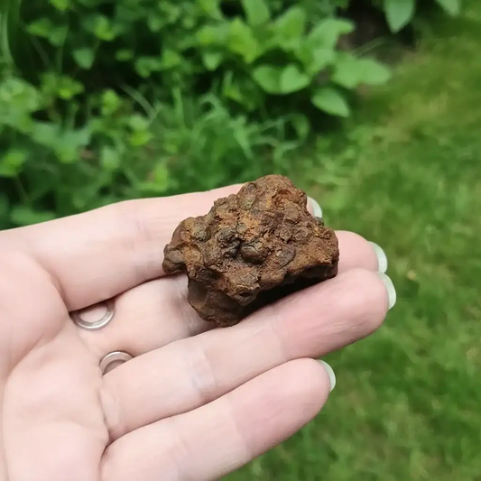 Limonite, Goethite et Pisolithes brutes 21g (MB575 - 1)