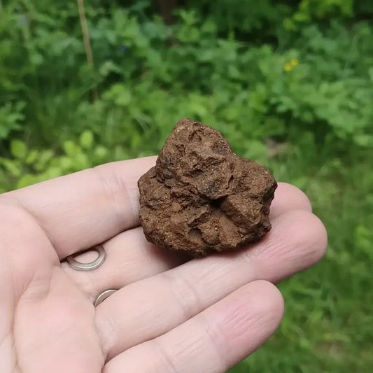 Limonite, Goethite et Pisolithes brutes 26g (MB575 - 2)