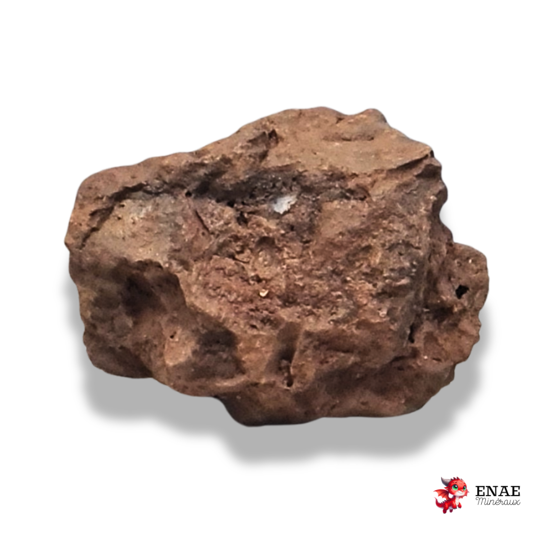 Limonite, Goethite et Pisolithes brutes (MB575-2)