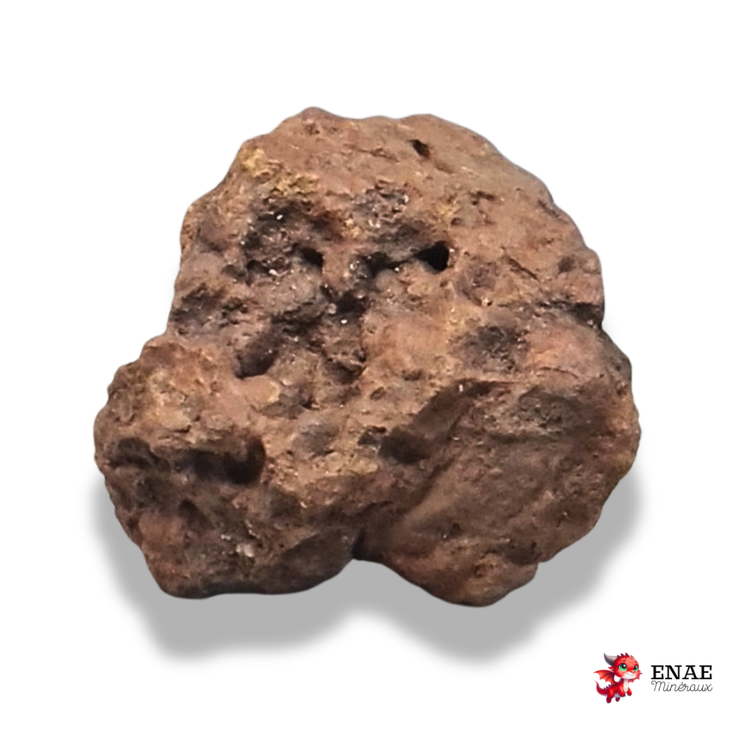 Limonite, Goethite et Pisolithes brutes (MB575-2)