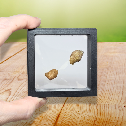 Lot de 2 Saphir jaunes bruts (MB568) - ENAE Minéraux