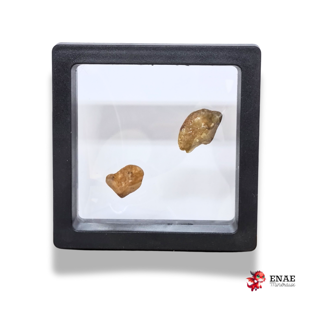 Lot de 2 Saphir jaunes bruts (MB568)