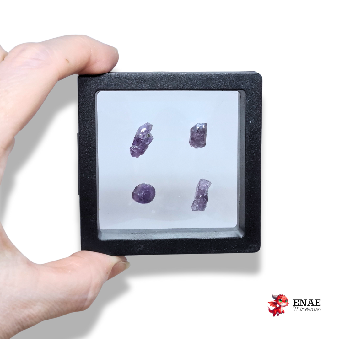 Lot de 4 Scapolite violettes brutes (MB567)