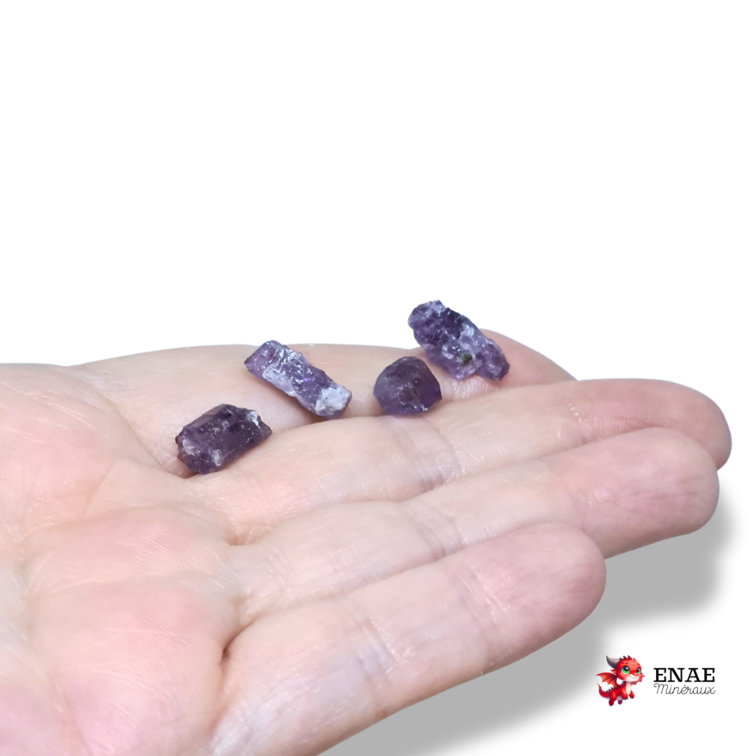 Lot de 4 Scapolite violettes brutes (MB567)