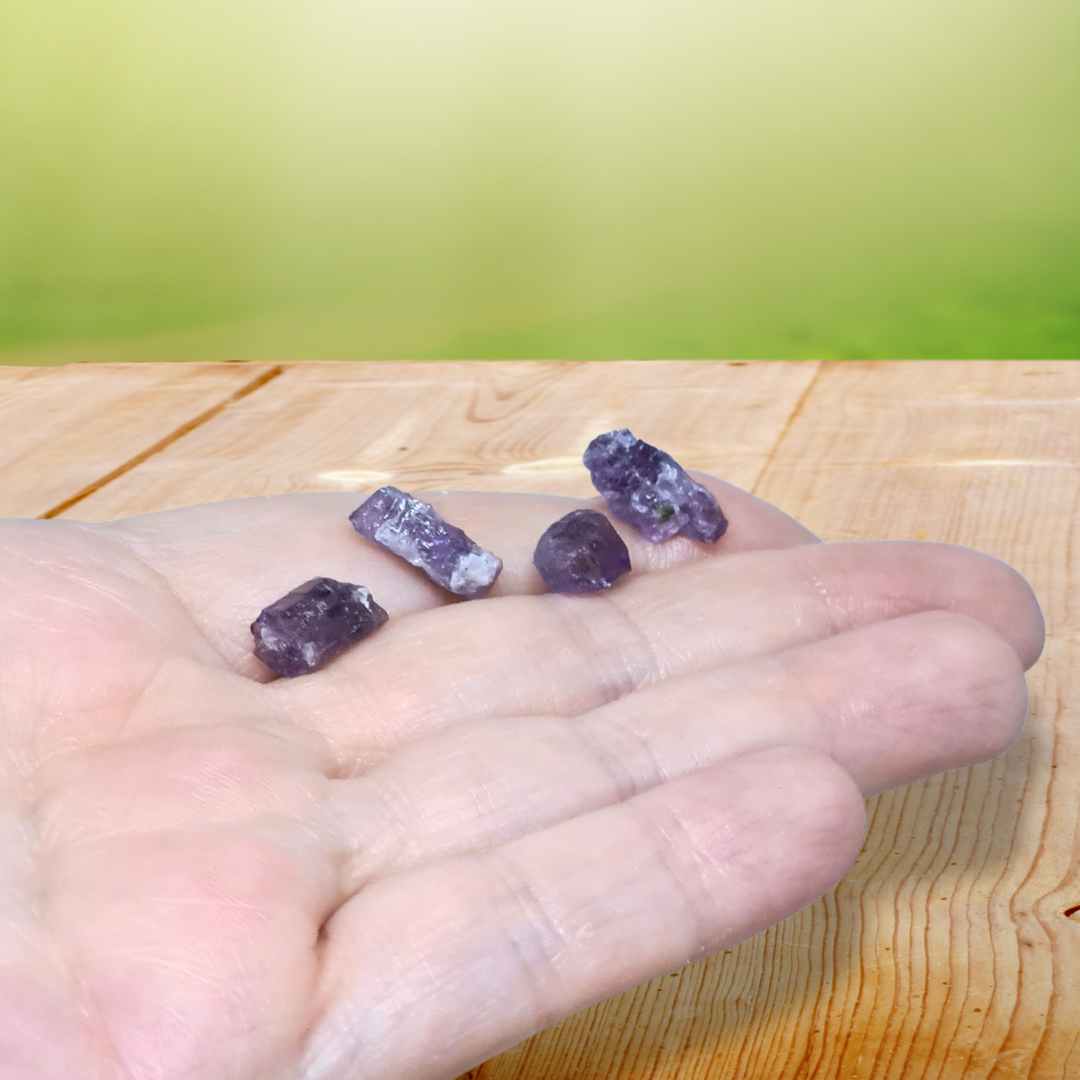 Lot de 4 Scapolite violettes brutes (MB567) - ENAE Minéraux