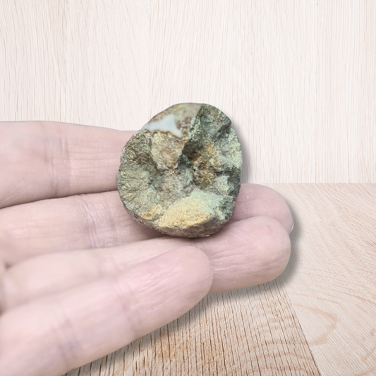 Nodule de Pyrite (MB564) - ENAE Minéraux