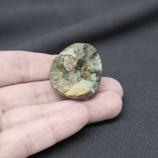 Nodule de Pyrite 37g (MB564)