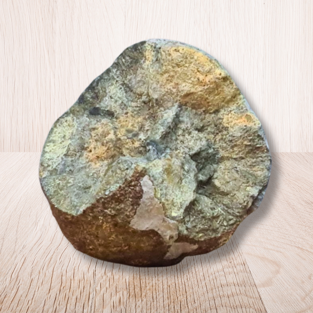 Nodule de Pyrite (MB564) - ENAE Minéraux
