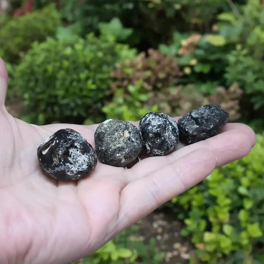 Obsidienne Larme d'Apache brute (MB574)
