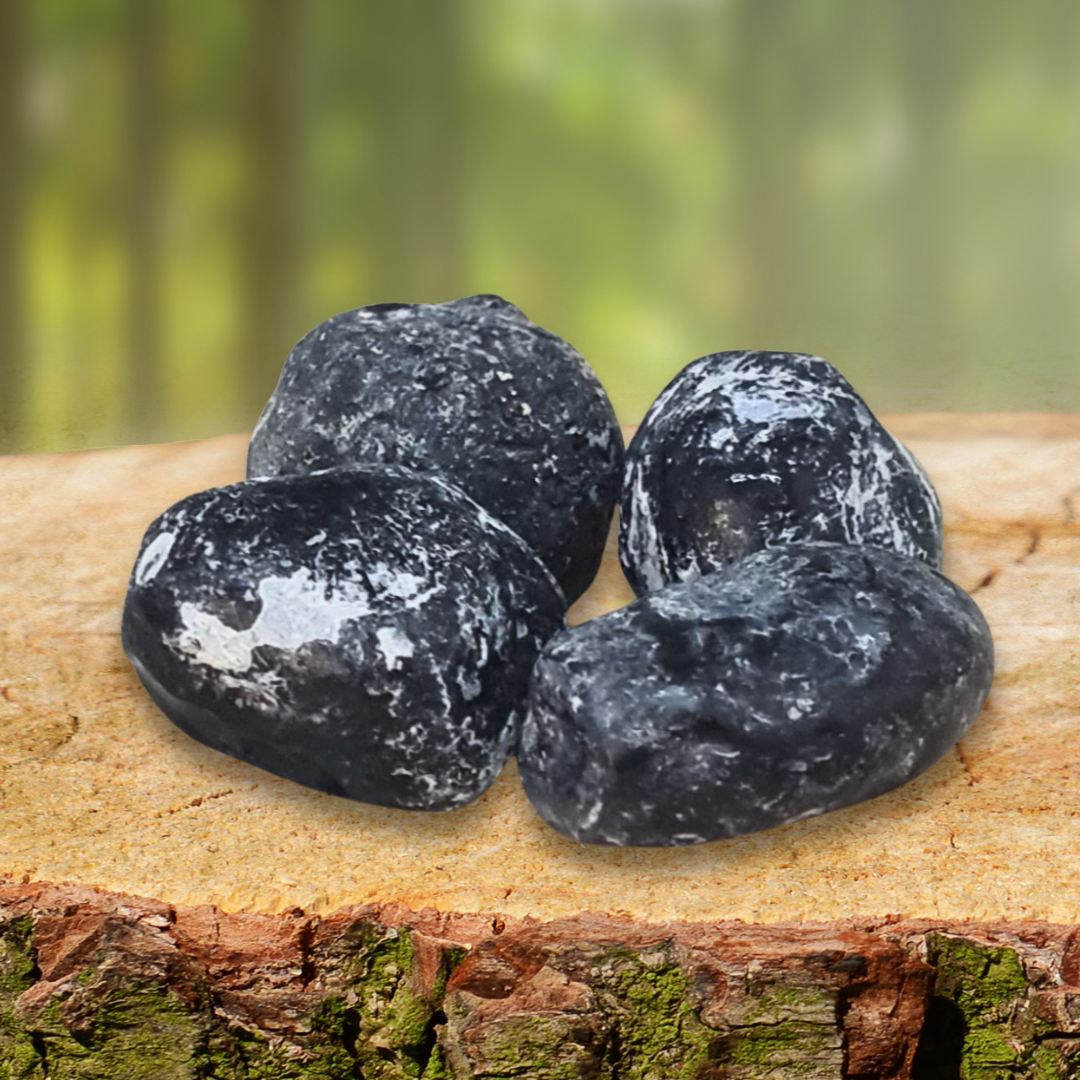 Obsidienne Larme d'Apache brute (MB574)