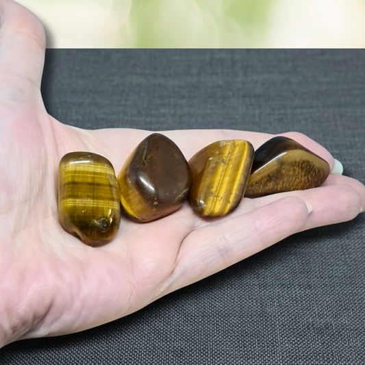 Œil de Tigre - Pierre roulée (PRGFL460)
