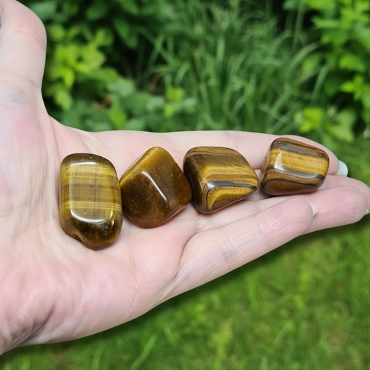 Œil de Tigre - Pierre roulée (PRGFL460)