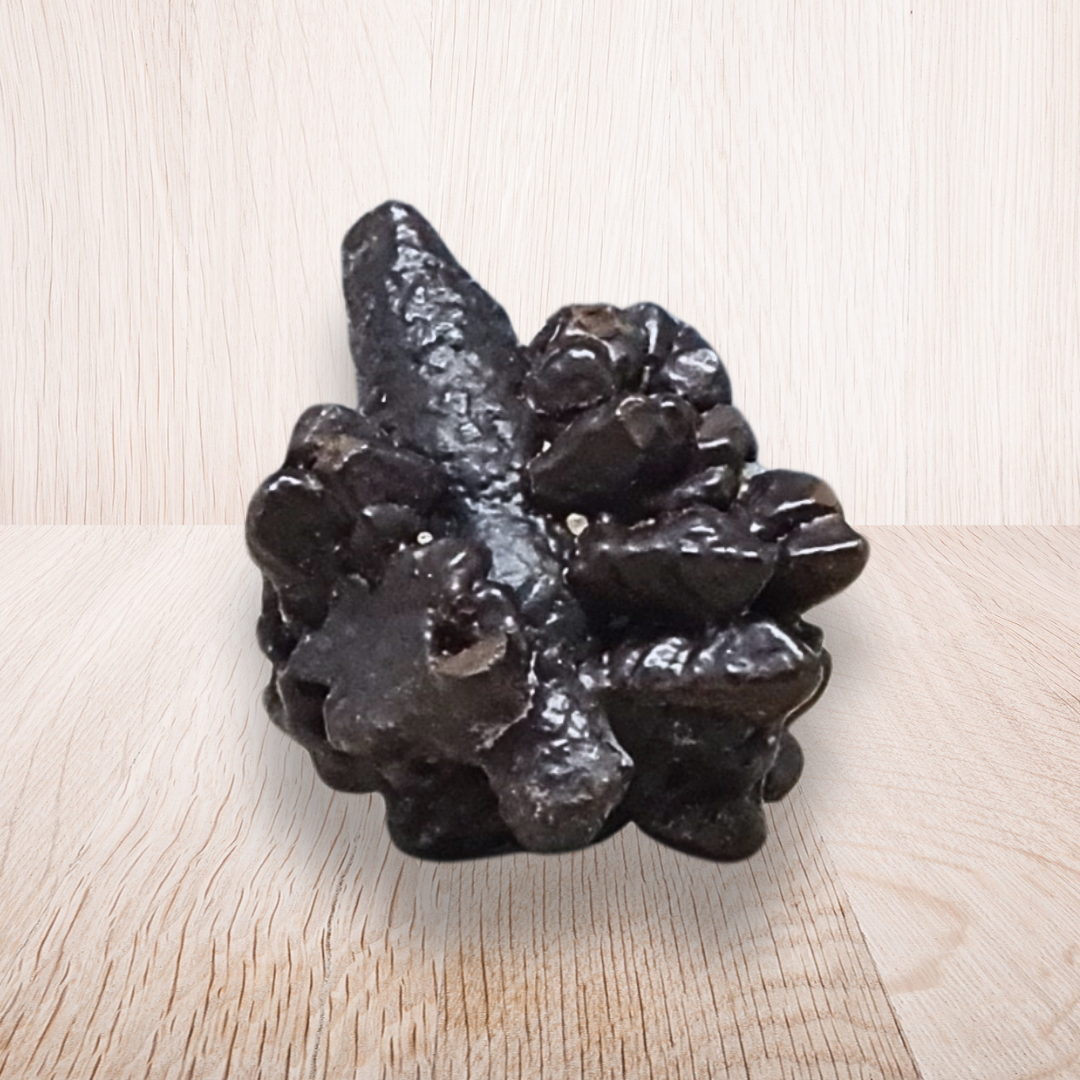Pierre de Prophétie brute - Goethite / Marcasite (MB554-4)