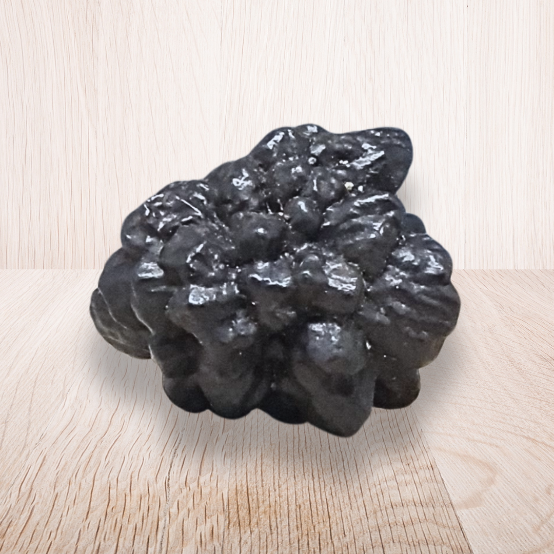 Pierre de Prophétie brute - Goethite / Marcasite (MB554-5)