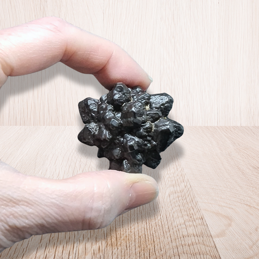 Pierre de Prophétie brute - Goethite / Marcasite 56g (MB554-1)