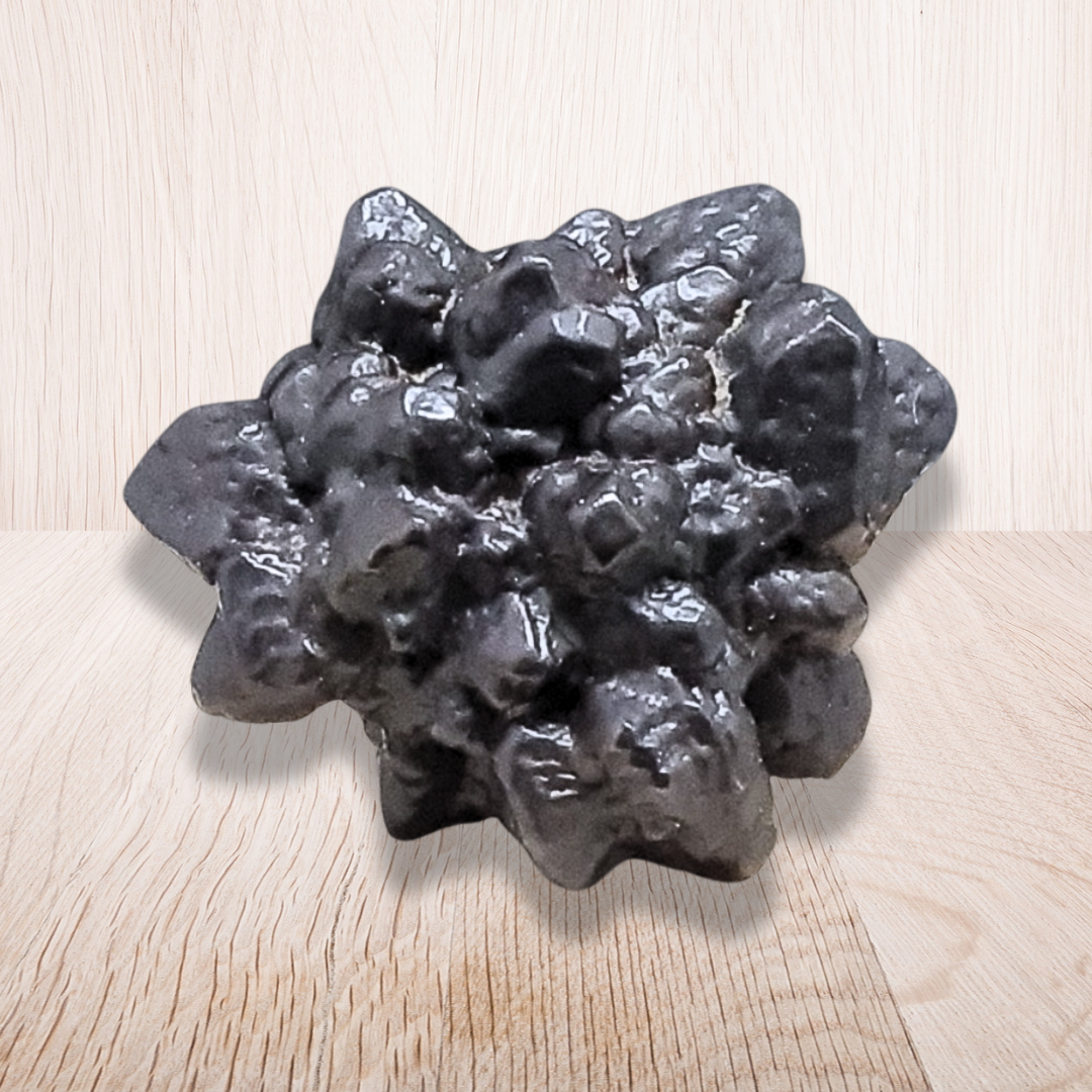 Pierre de Prophétie brute - Goethite / Marcasite (MB554-1)