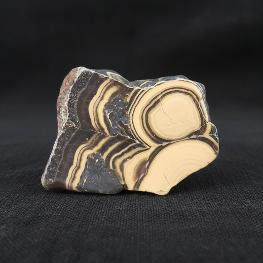 Tranche de Schalenblende polie (PRGFL742) - ENAE Minéraux