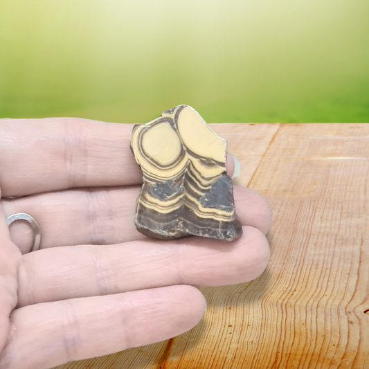 Tranche de Schalenblende polie (PRGFL742) - ENAE Minéraux