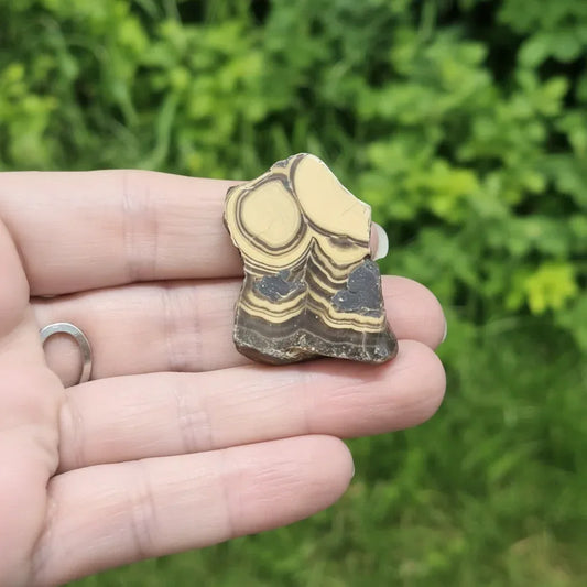 Tranche de Schalenblende polie 27g (PRGFL742)