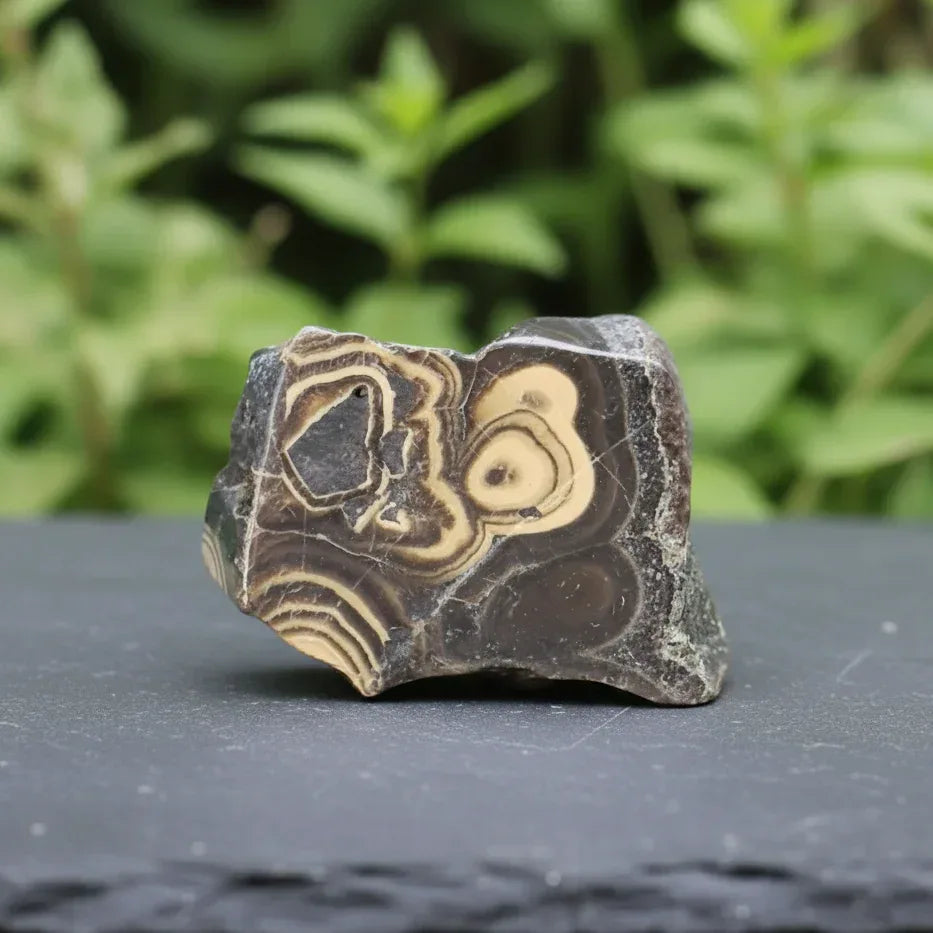 Tranche de Schalenblende polie 27g (PRGFL742)