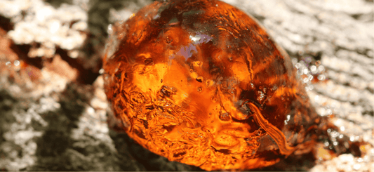 Ambre : Minéralogie, vertus et bienfaits en lithothérapie