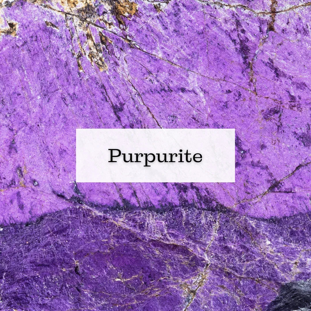 Collection Purpurite