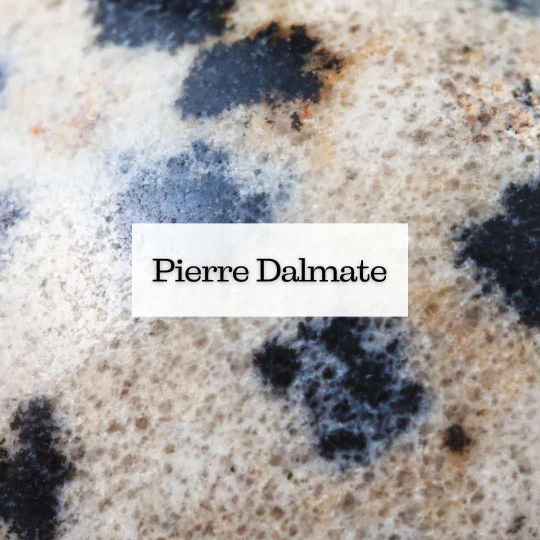 Collection Pierre Dalmate (Jaspe Dalmatien)
