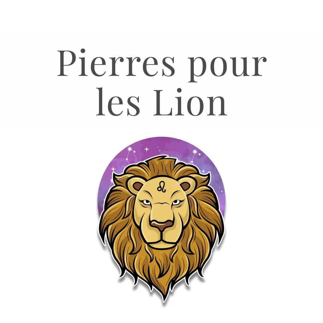 Lion - ENAE Minéraux