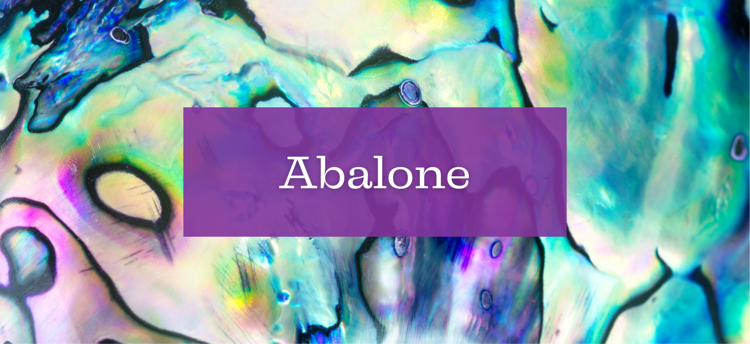 Abalone (Coquille d'Ormeau) chez ENAE Mineraux