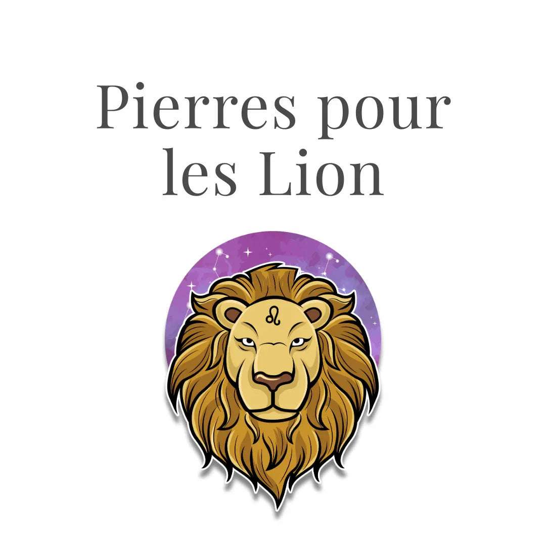 Lion - ENAE Minéraux