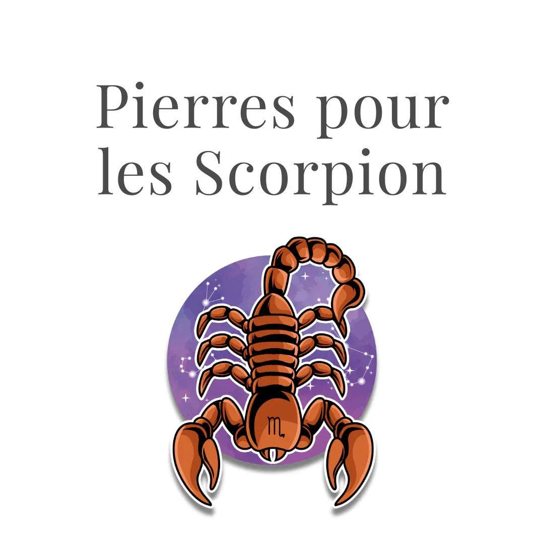 Scorpion - ENAE Minéraux