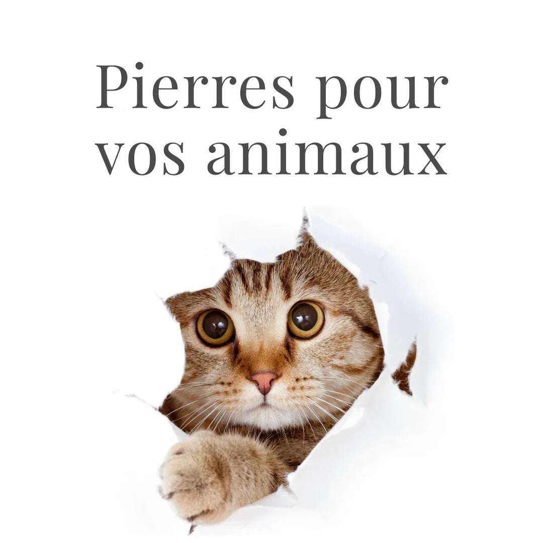 Les pierres pour vos animaux - ENAE Minéraux