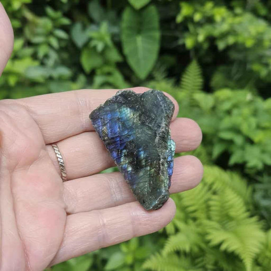 Labradorite 1 face polie (PE575-17) - ENAE Minéraux