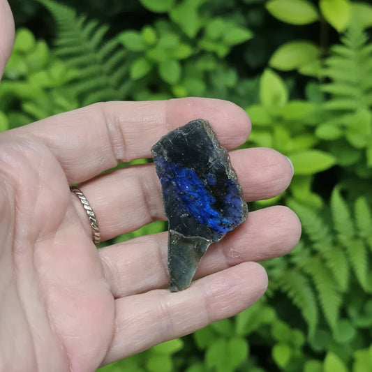 Labradorite 1 face polie (PE575-16) - ENAE Minéraux