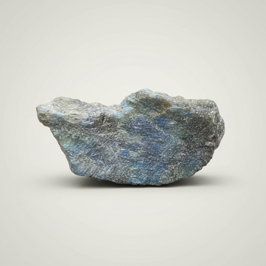 Labradorite 1 face polie 19g (PRGFL575 - 15)