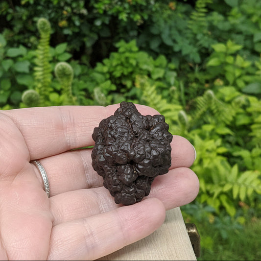 Pierre de Prophétie brute - Goethite / Marcasite 50g (MB554-8)